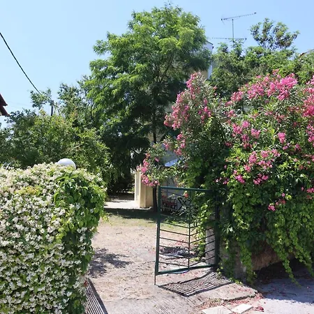 Apartment Amadeo Hanioti