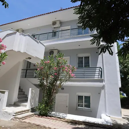 Amadeo * ハニオティス